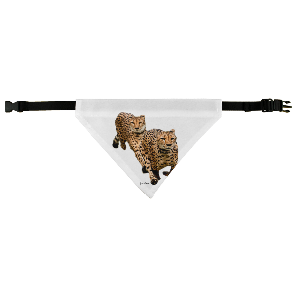 The Cheetah Brothers Pet Bandana