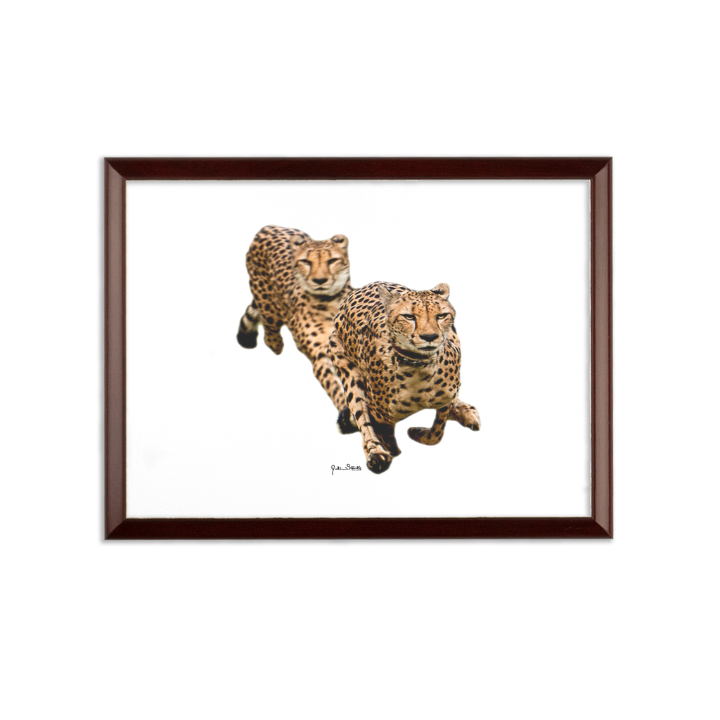 The Cheetah Brothers Sublimation Wall Plaque